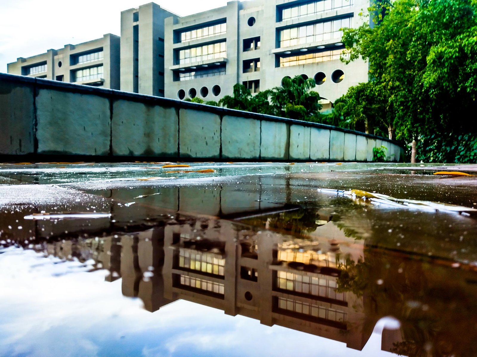 Marwadi University