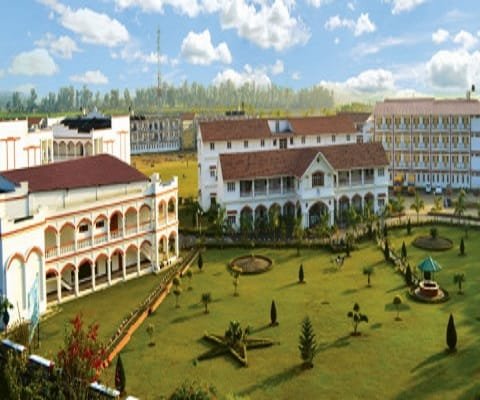 Tula's Institute